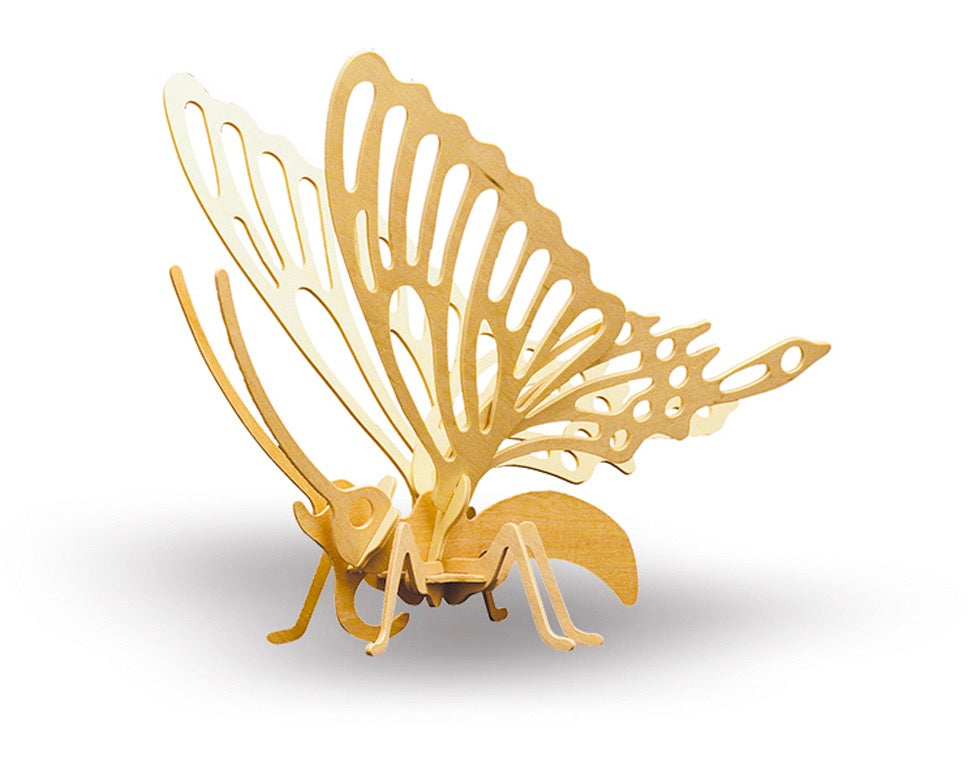 Schmetterling