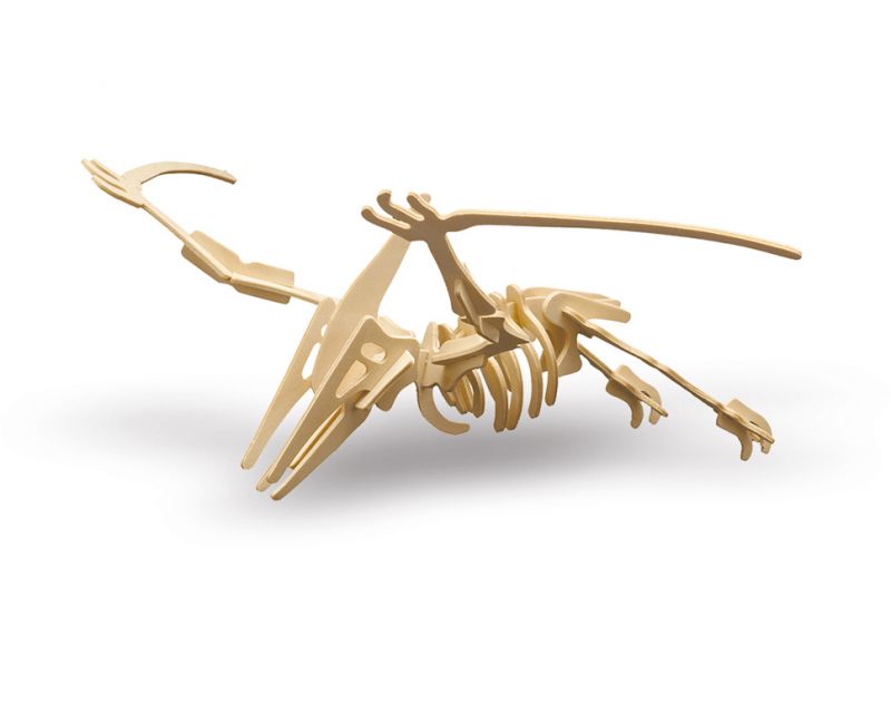 Pterodactylus